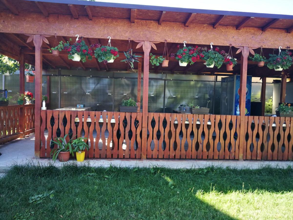 Vila Baciu Otel Tuzla Dış mekan fotoğraf