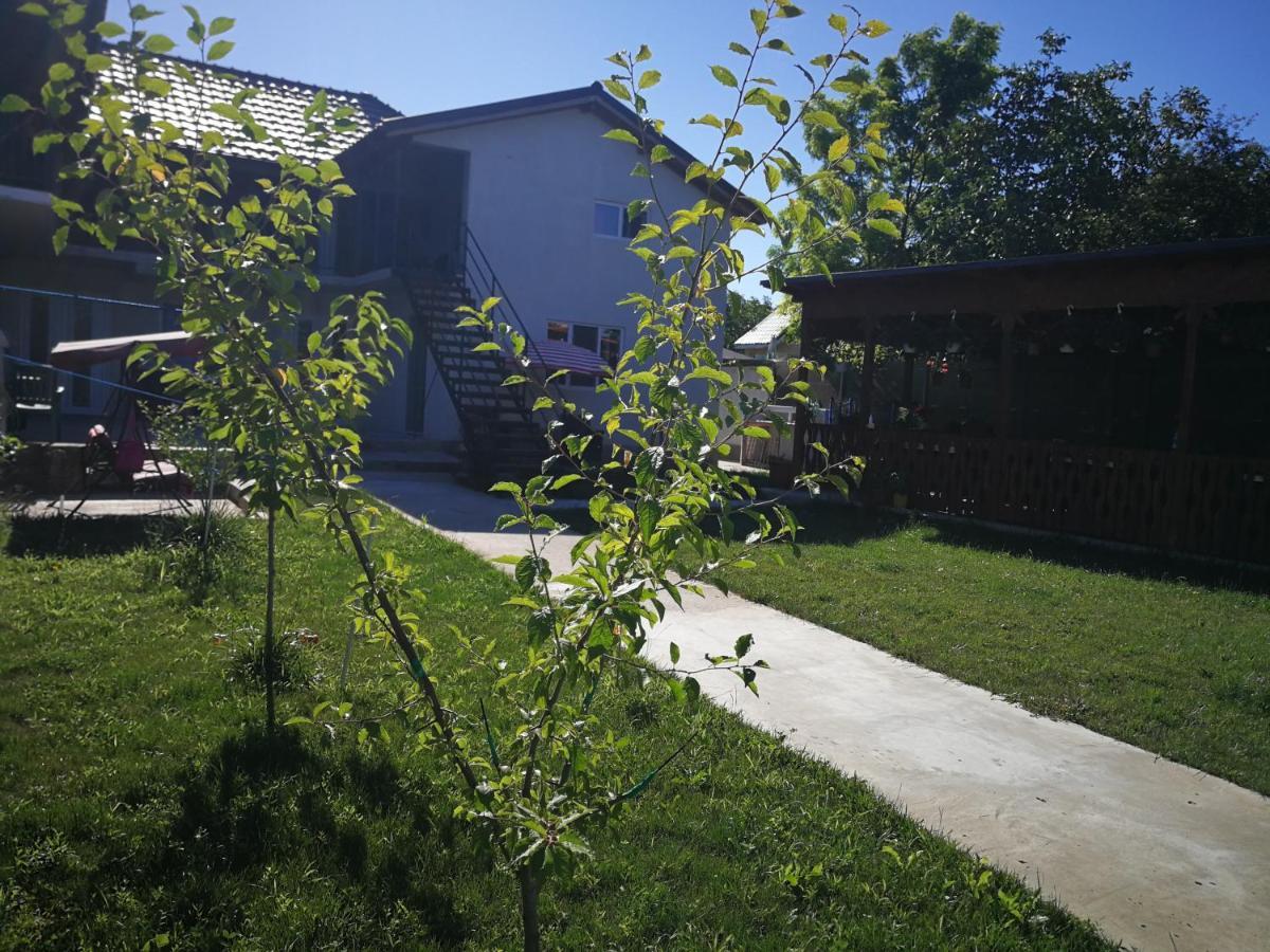 Vila Baciu Otel Tuzla Dış mekan fotoğraf