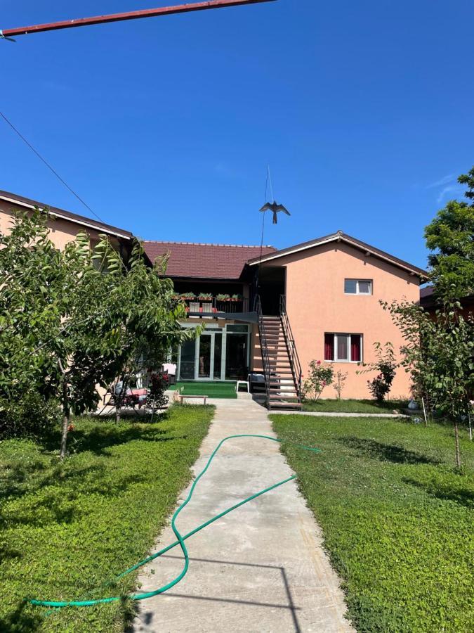 Vila Baciu Otel Tuzla Dış mekan fotoğraf